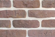 AB24